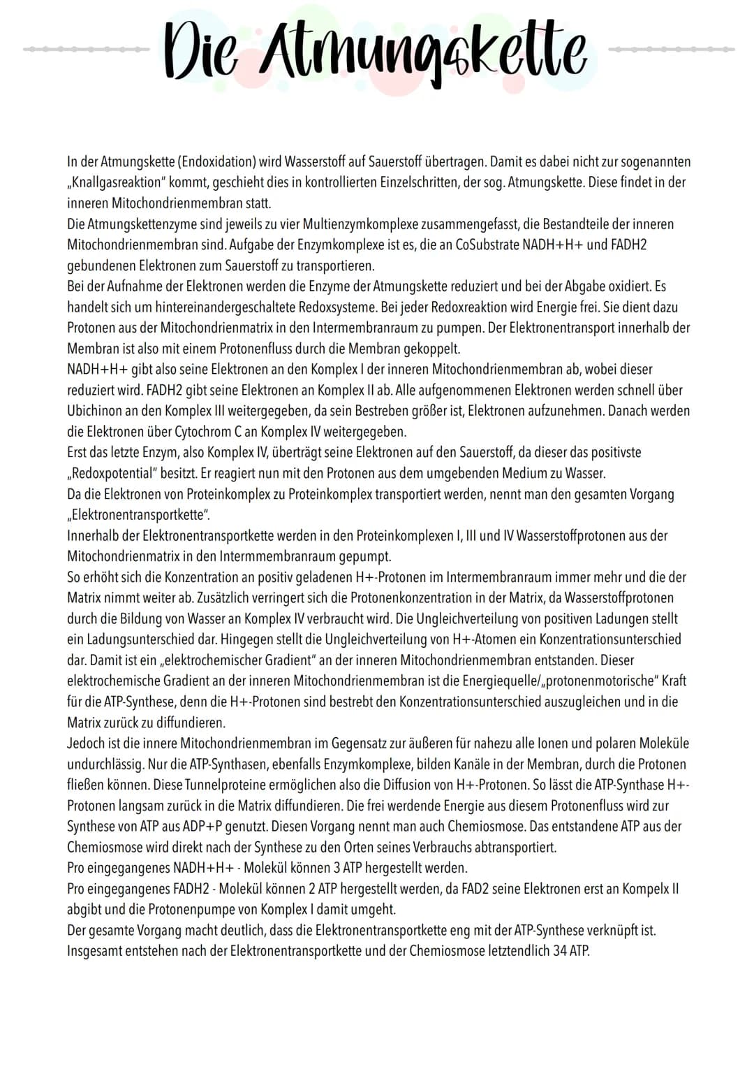 # Riologie Klausич SHBAKE
AUFBAU EINES MITOCHONDRIUMS
Matrix
Außere Membran
Innere Membran
DNA
Ribosomen
AUFBAU UND AUFGABE EINES ATP-M