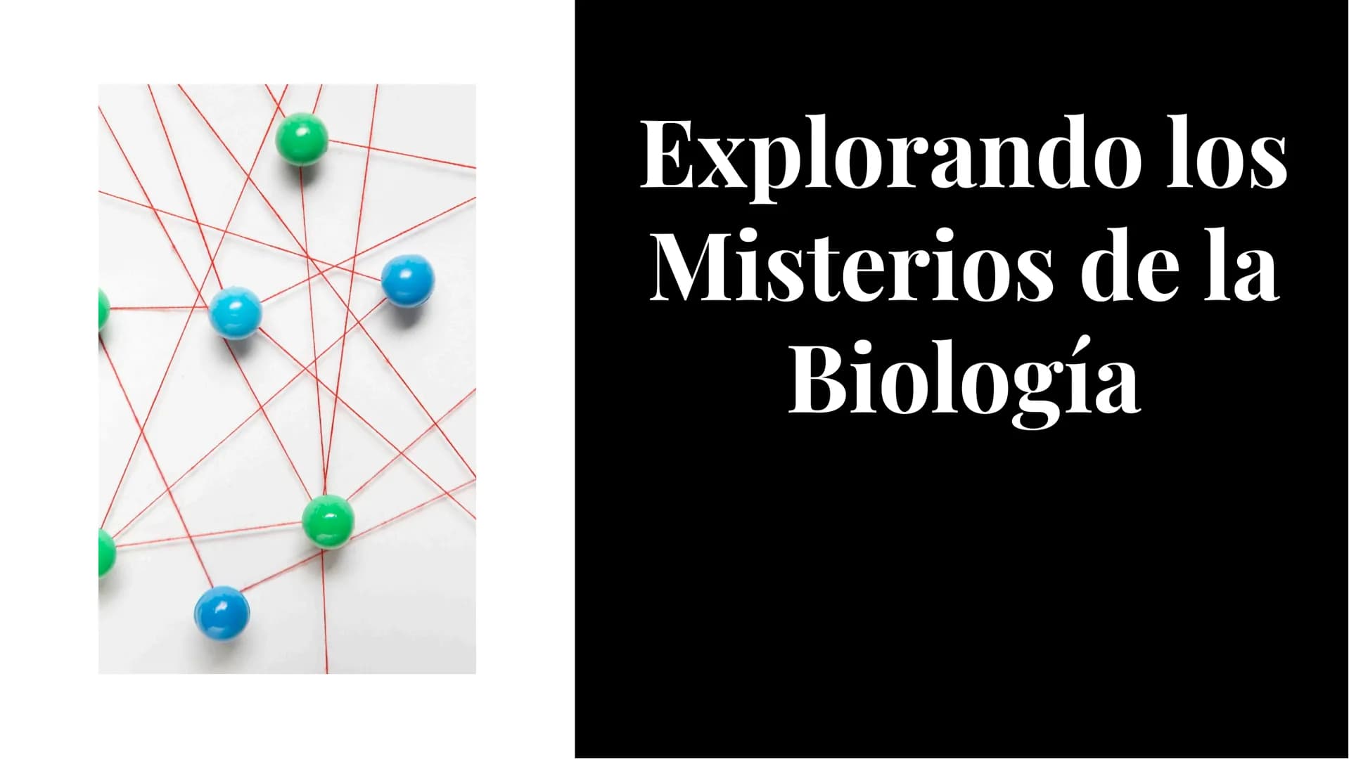# Explorando los
# Misterios de la
# Biología # La Célula: Un Universo
Pequeño
La célula es la unidad básica de la vida.
Descubriremos sus
