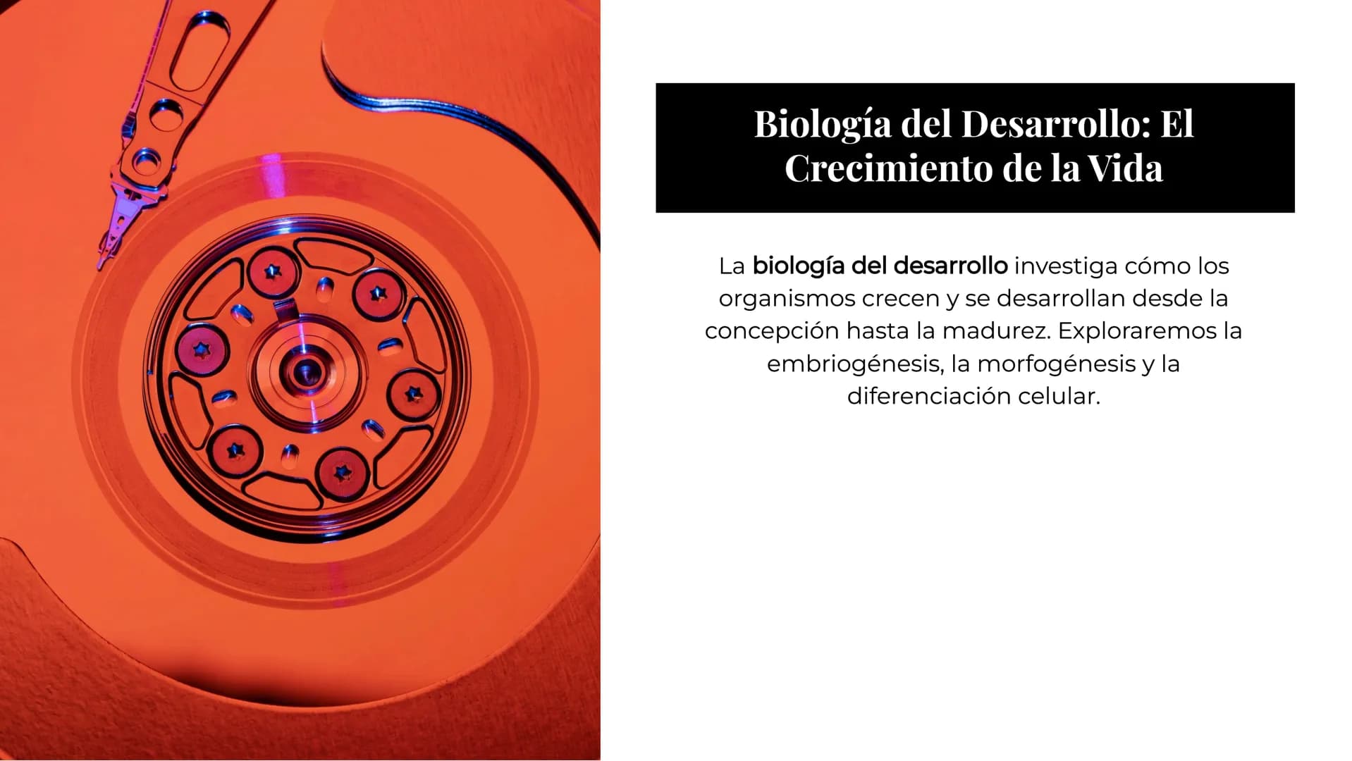 # Explorando los
# Misterios de la
# Biología # La Célula: Un Universo
Pequeño
La célula es la unidad básica de la vida.
Descubriremos sus