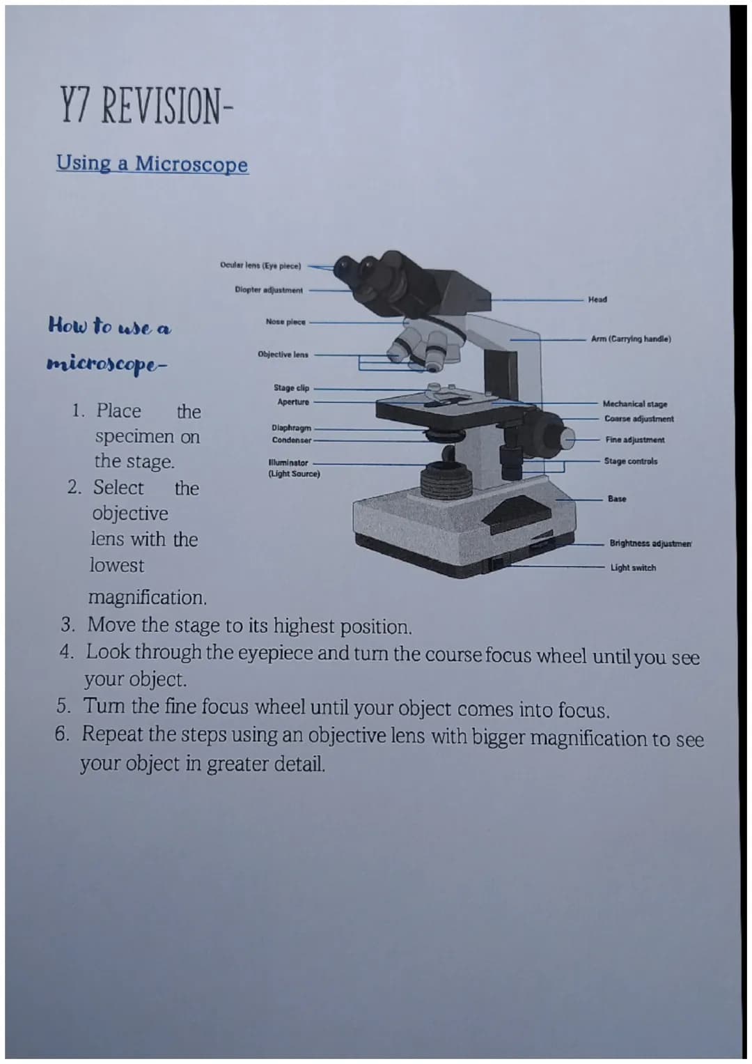 Y7 REVISION-
Using a Microscope
How to use a
microscope-
Ocular lens (Eye piece)
Diopter adjustment
Head
Nose piece
Arm (Carrying handle)
Ob