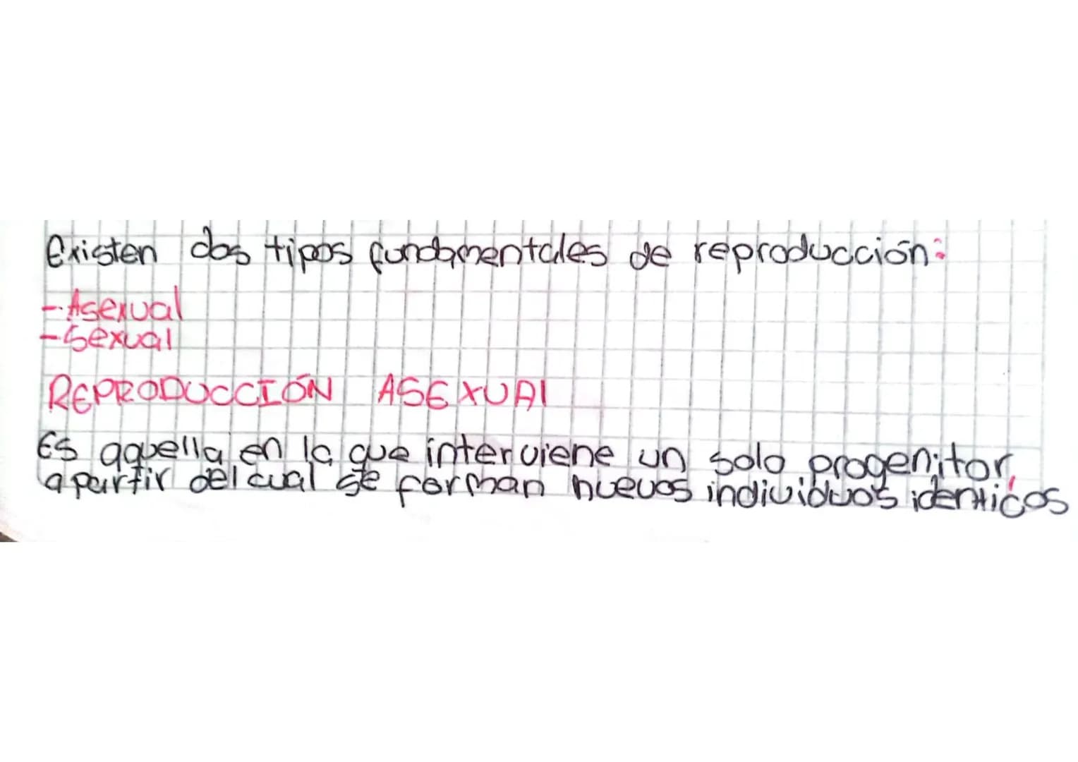 Existen dos tipos fundamentales de reproducción:
-Asexual
-Sexual
REPRODUCCIÓN ASEXUAL
Es aquella en la que interviene un solo progenitor
a