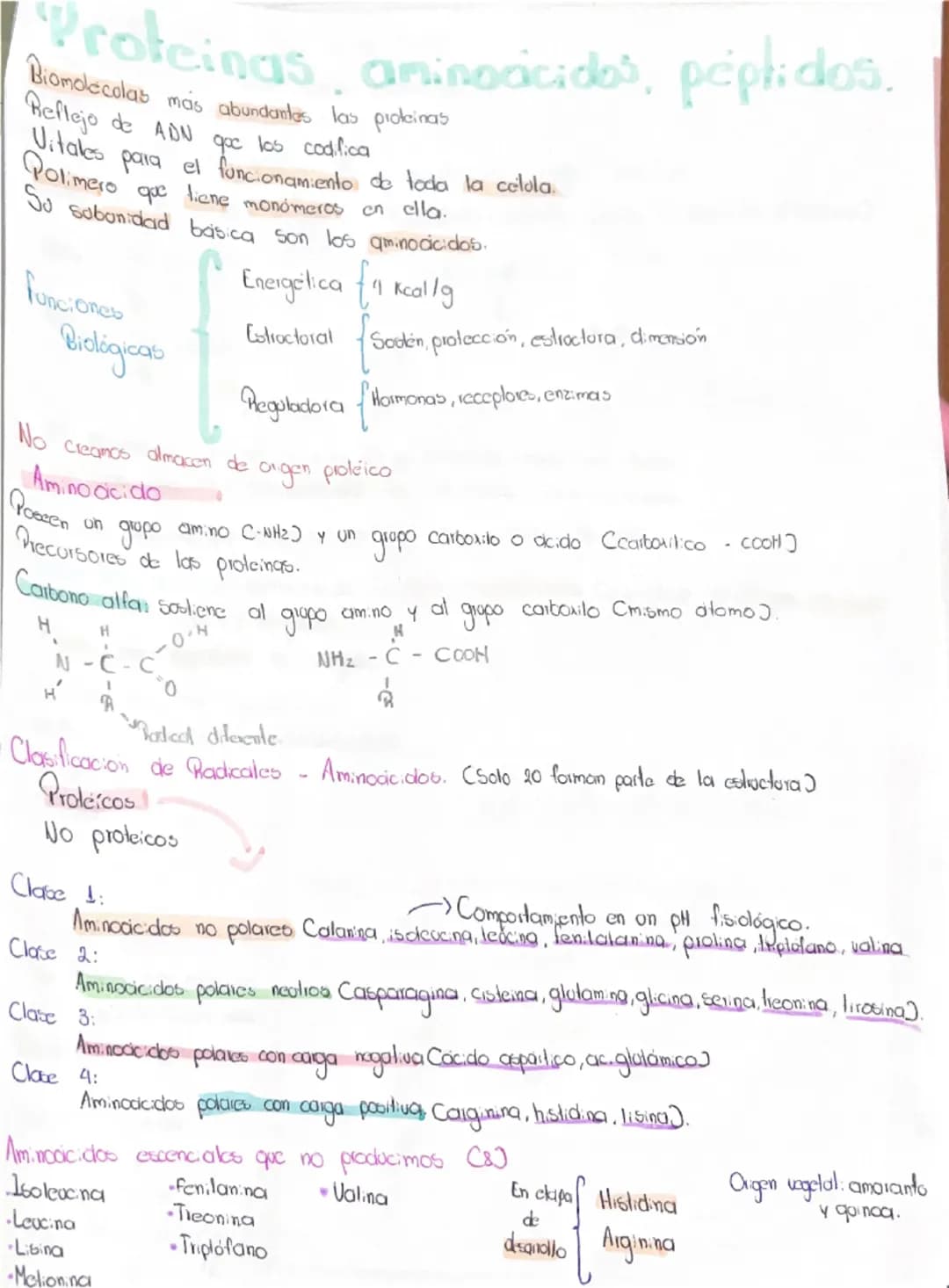 # Proteinas aminoácidos, peptidos.
Riomdecolas más abundantes las proteinas
Reflejo de ADN que los codifica
Vitales para el funcionamiento d