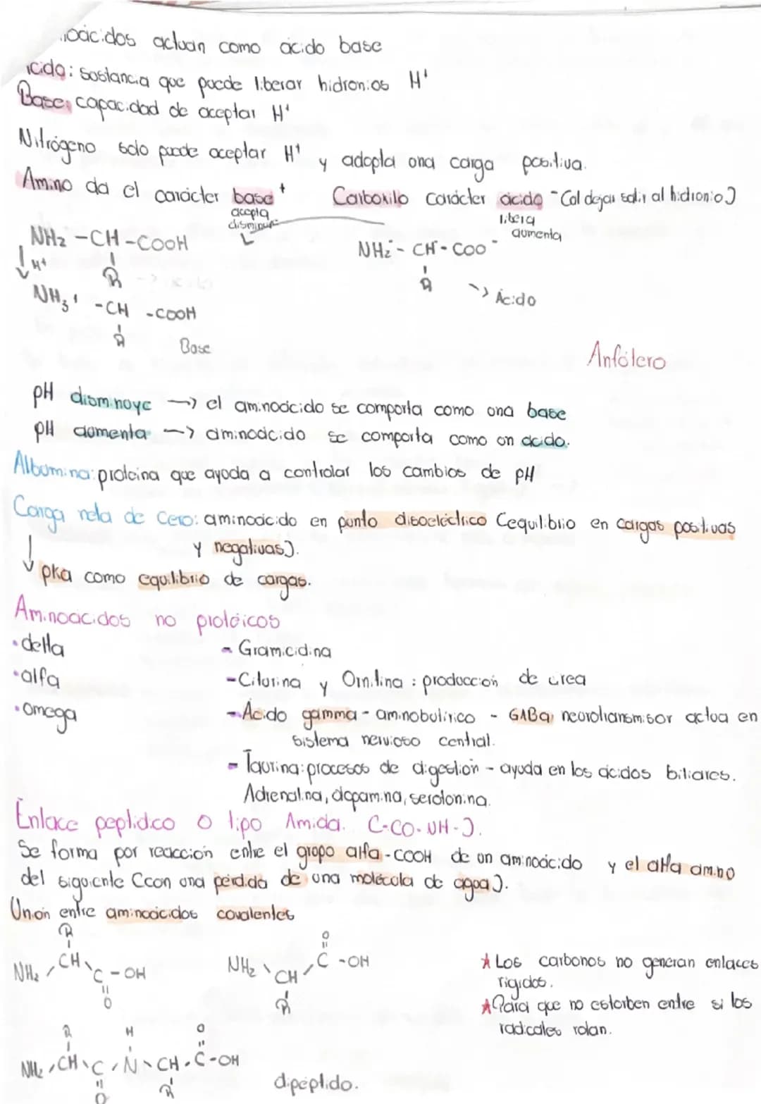 # Proteinas aminoácidos, peptidos.
Riomdecolas más abundantes las proteinas
Reflejo de ADN que los codifica
Vitales para el funcionamiento d