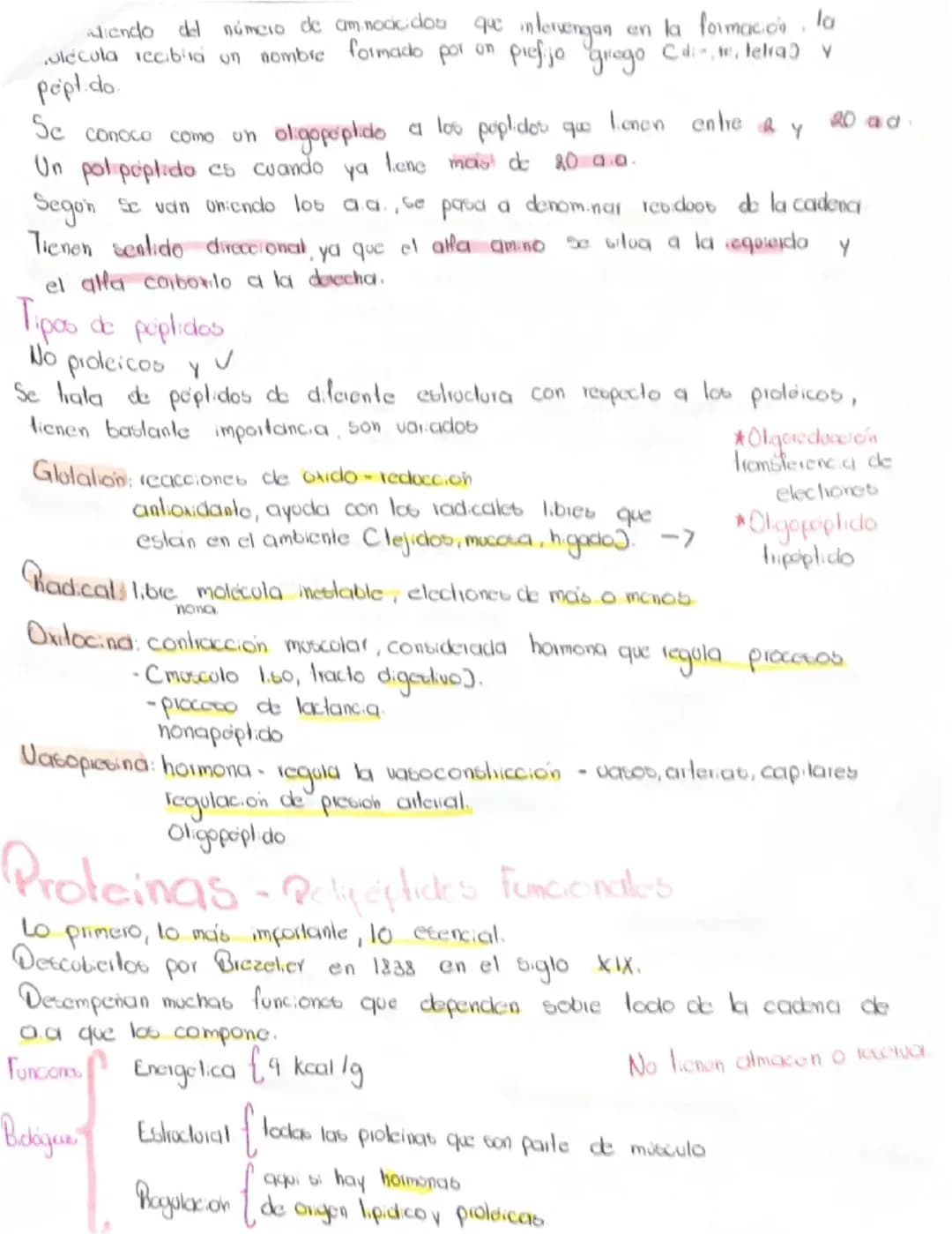 # Proteinas aminoácidos, peptidos.
Riomdecolas más abundantes las proteinas
Reflejo de ADN que los codifica
Vitales para el funcionamiento d