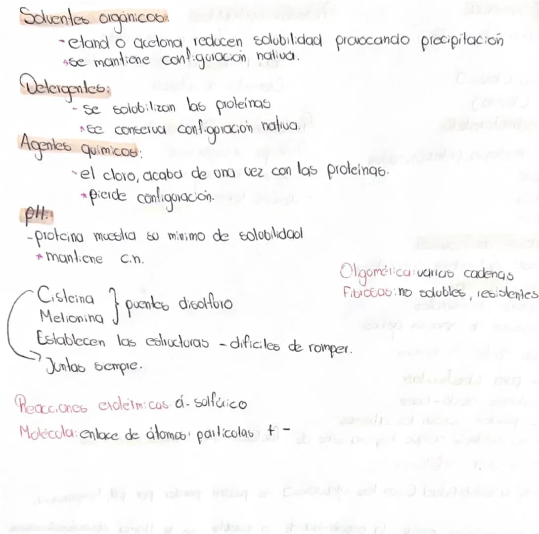 # Proteinas aminoácidos, peptidos.
Riomdecolas más abundantes las proteinas
Reflejo de ADN que los codifica
Vitales para el funcionamiento d