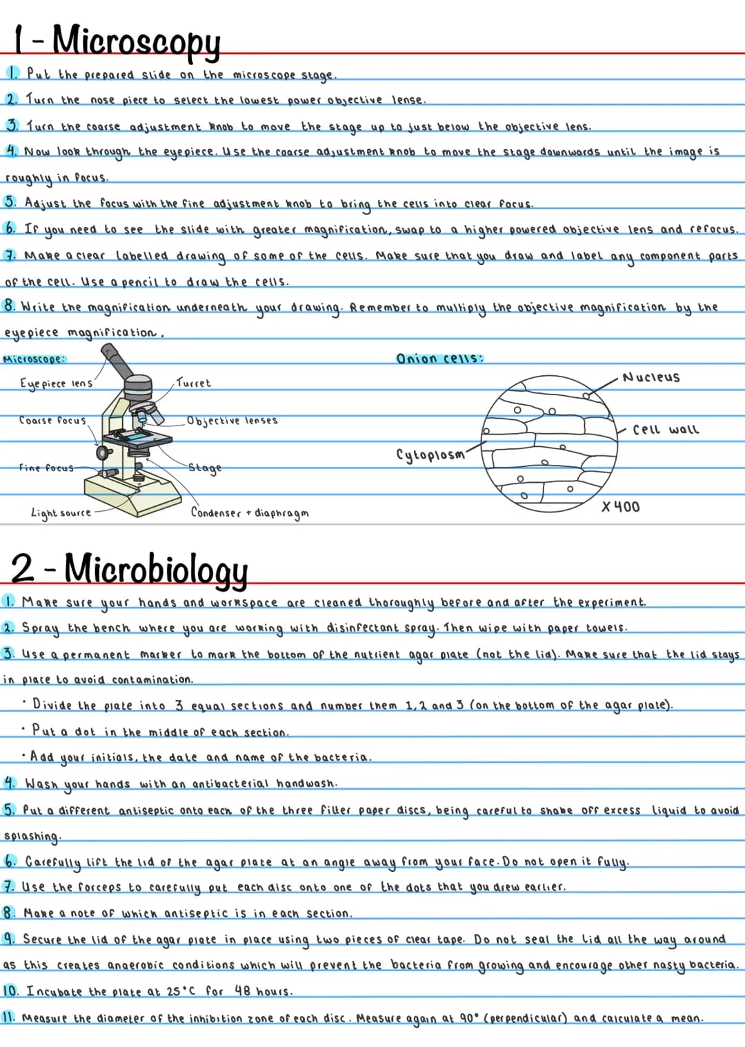 # 1- Microscopy
1. Put the prepared slide on the microscope stage..
2. Turn the nose piece to select the lowest power objective lense.
3. T