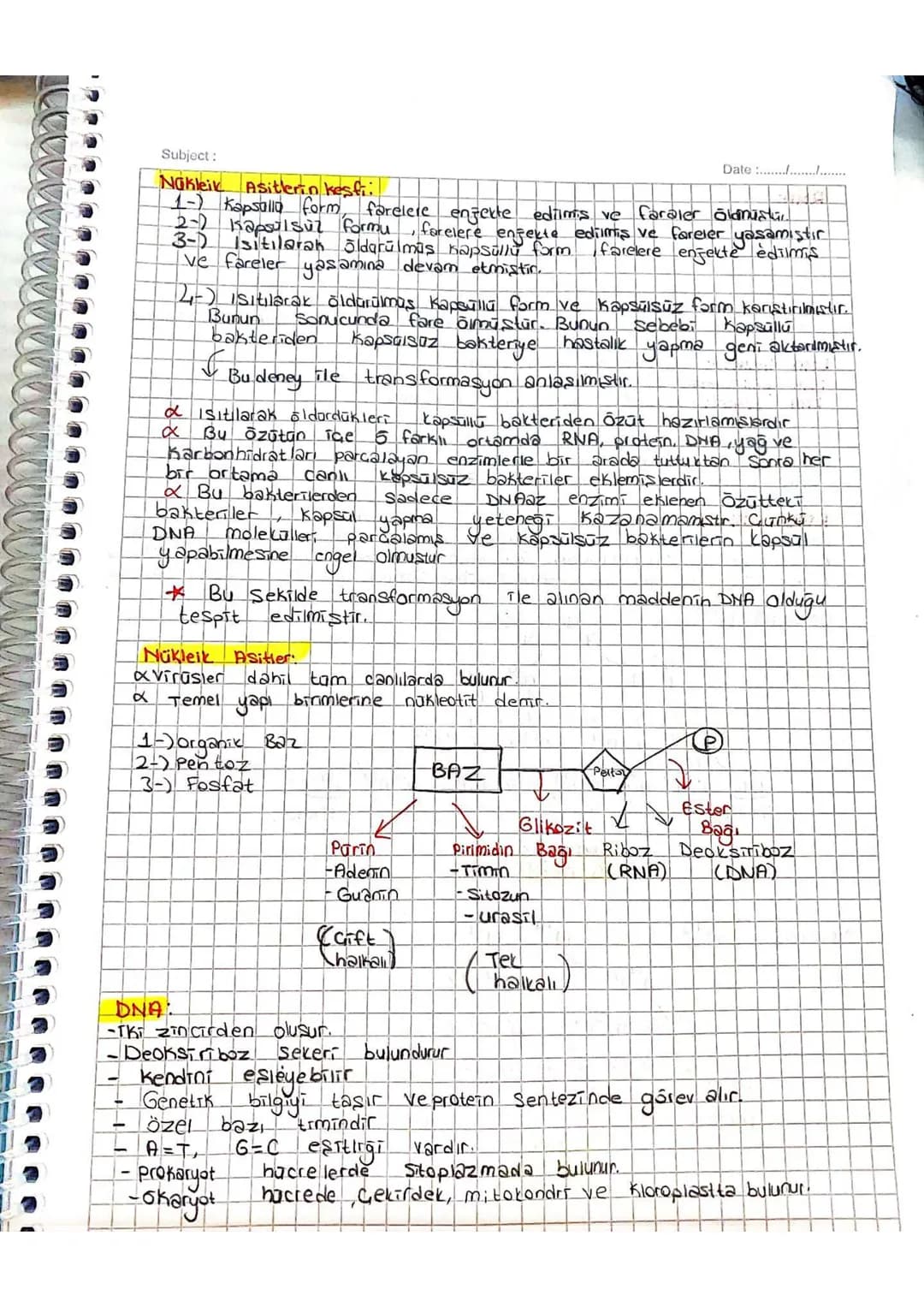 Subject:
Nükleik Asitlerin kesti.
Date :......./......../........
1-) Kapsalla form, farelere enjekte edilmiş ve faraler öldmüştur
3- Kapsa