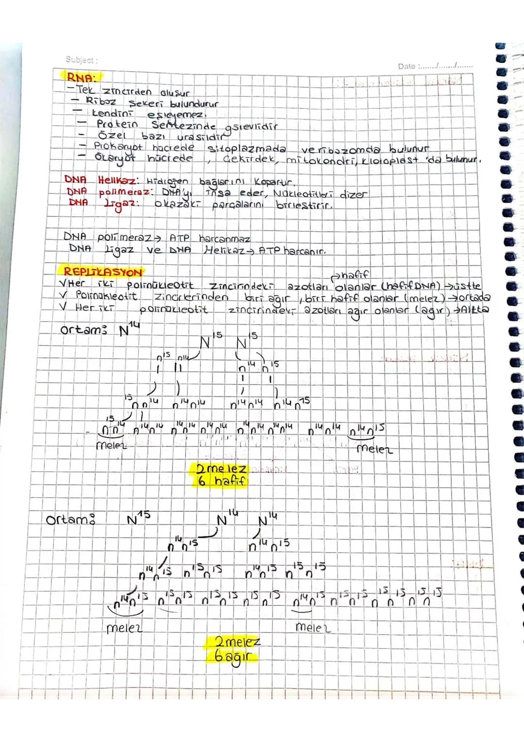 Subject:
Nükleik Asitlerin kesti.
Date :......./......../........
1-) Kapsalla form, farelere enjekte edilmiş ve faraler öldmüştur
3- Kapsa