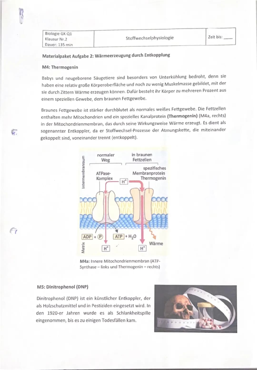 # Biologie GK Q1
# Klausur Nr.2
# Dauer: 135 min
Stoffwechselphysiologie
Zeit bis: _____
**Materialpaket Aufgabe 2: Wärmeerzeugung durch E