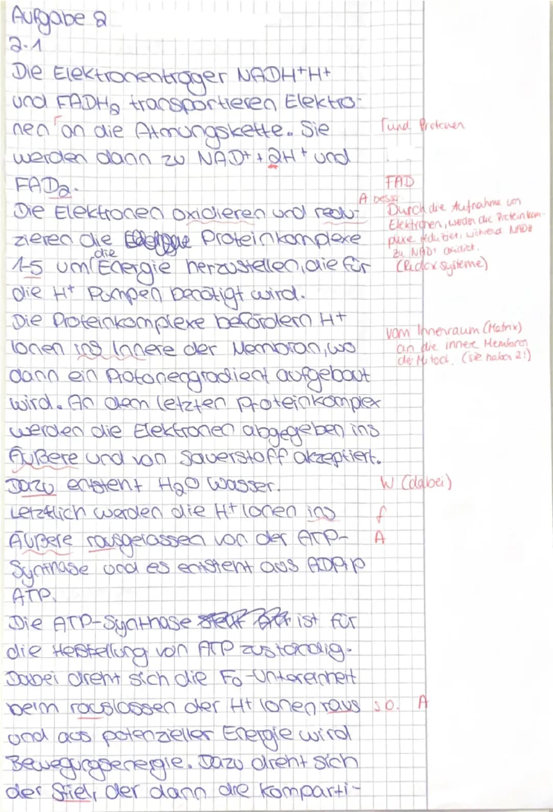 # Biologie GK Q1
# Klausur Nr.2
# Dauer: 135 min
Stoffwechselphysiologie
Zeit bis: _____
**Materialpaket Aufgabe 2: Wärmeerzeugung durch E
