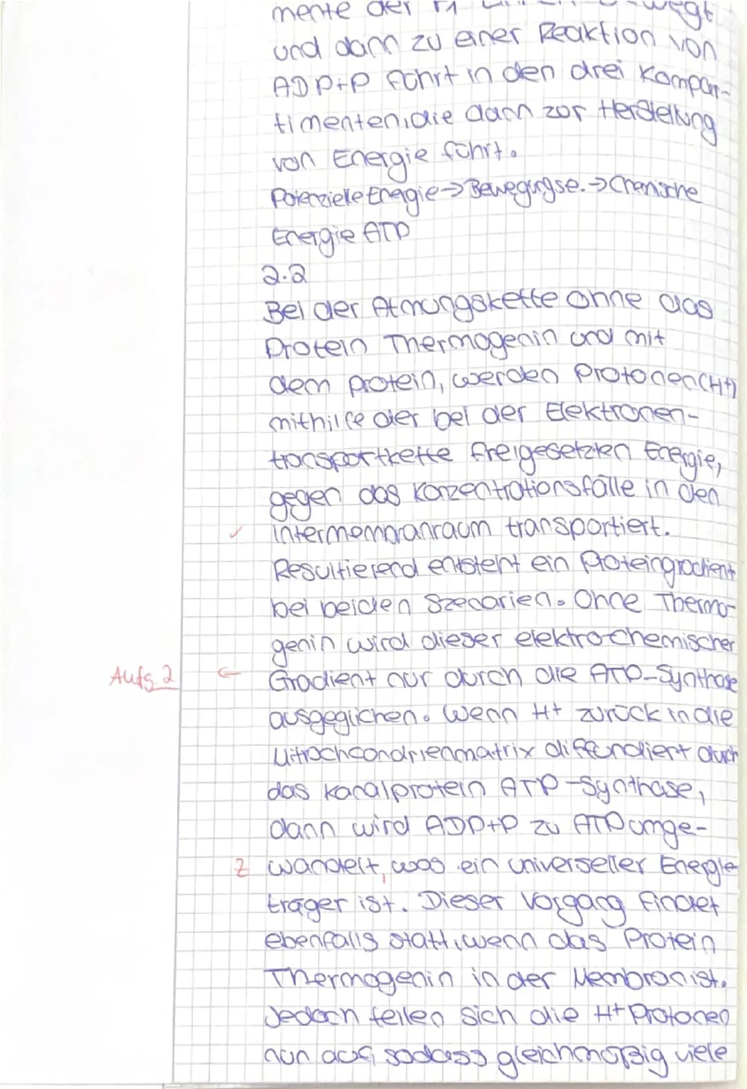 # Biologie GK Q1
# Klausur Nr.2
# Dauer: 135 min
Stoffwechselphysiologie
Zeit bis: _____
**Materialpaket Aufgabe 2: Wärmeerzeugung durch E