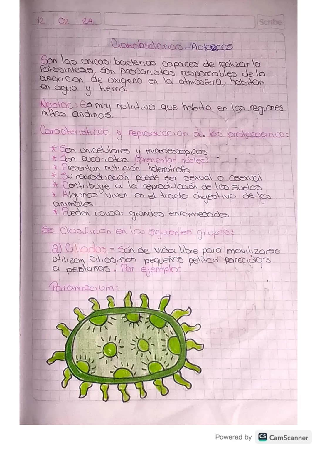 12. 02. 2A
Clanobadenas-Protogoos
Scribe
Son las unicas bacterias capaces de realizar la
Fotosintesis, son procariotas responsables de la
a
