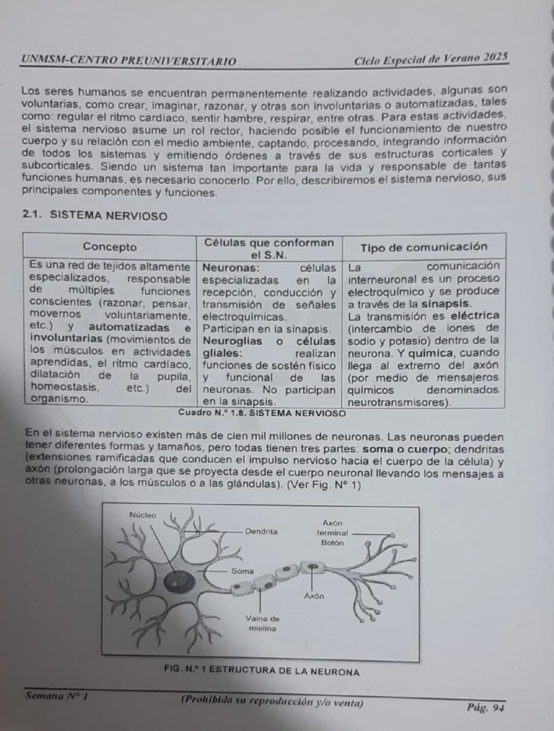 UNMSM-CENTRO PREUNIVERSITARIO
1. ORÍGENES DE LA PSICOLOGÍA
LA PSICOLOGÍA
COMO CIENCIA
Antecedentes
Aristóteles
Descartes
Wundt
Ciclo Es