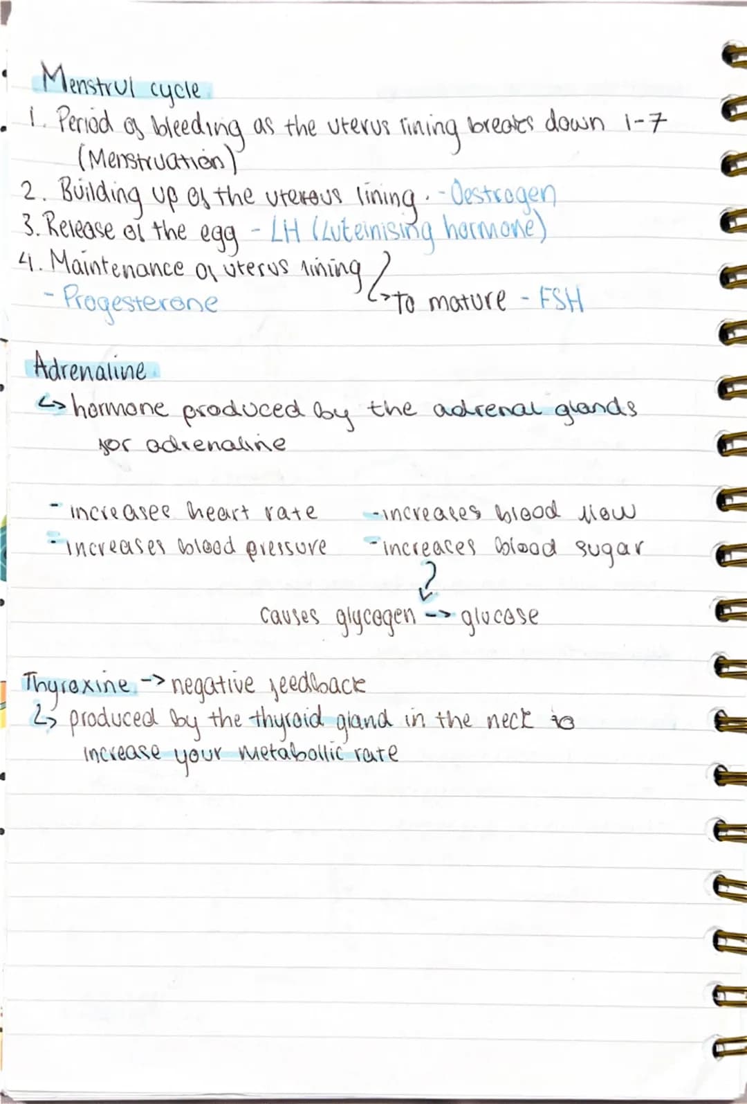 Homeostatis
maintaining a stable internal
environment in response to both internal
and external conditions.
Receptors (e.g. temperature cha