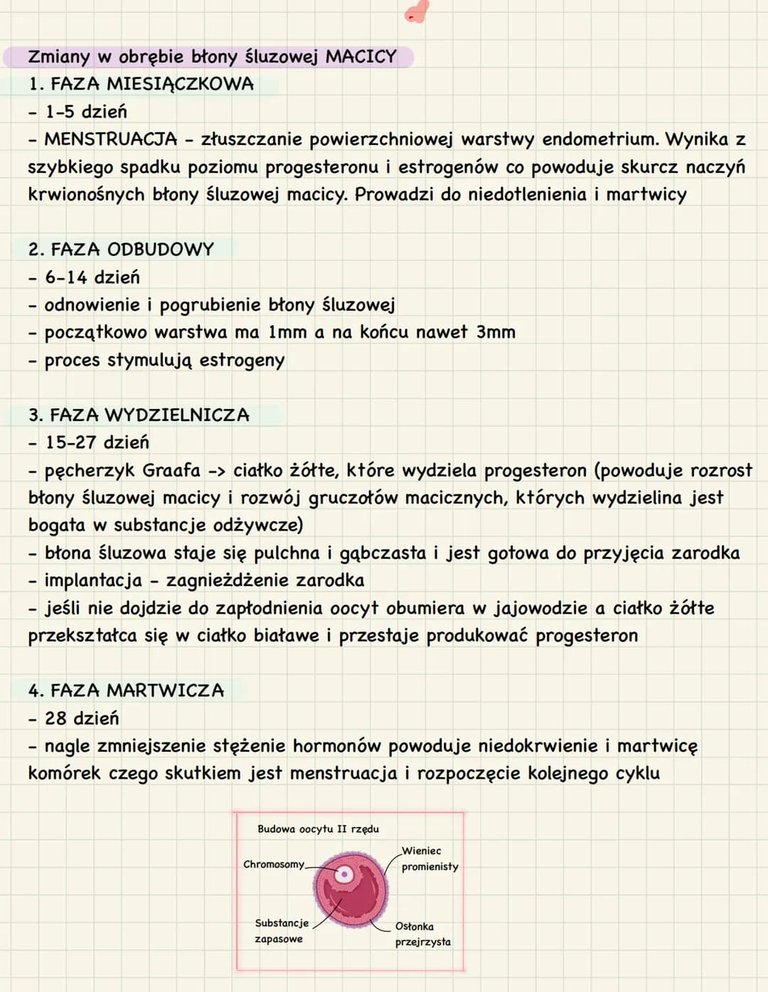 # 3. Budowa i funkcje żeńskich narządów
rozrodczych
1. Funkcje:
* produkcja oocytów II rzędu
* stworzenie w trakcie ciąży warunków do