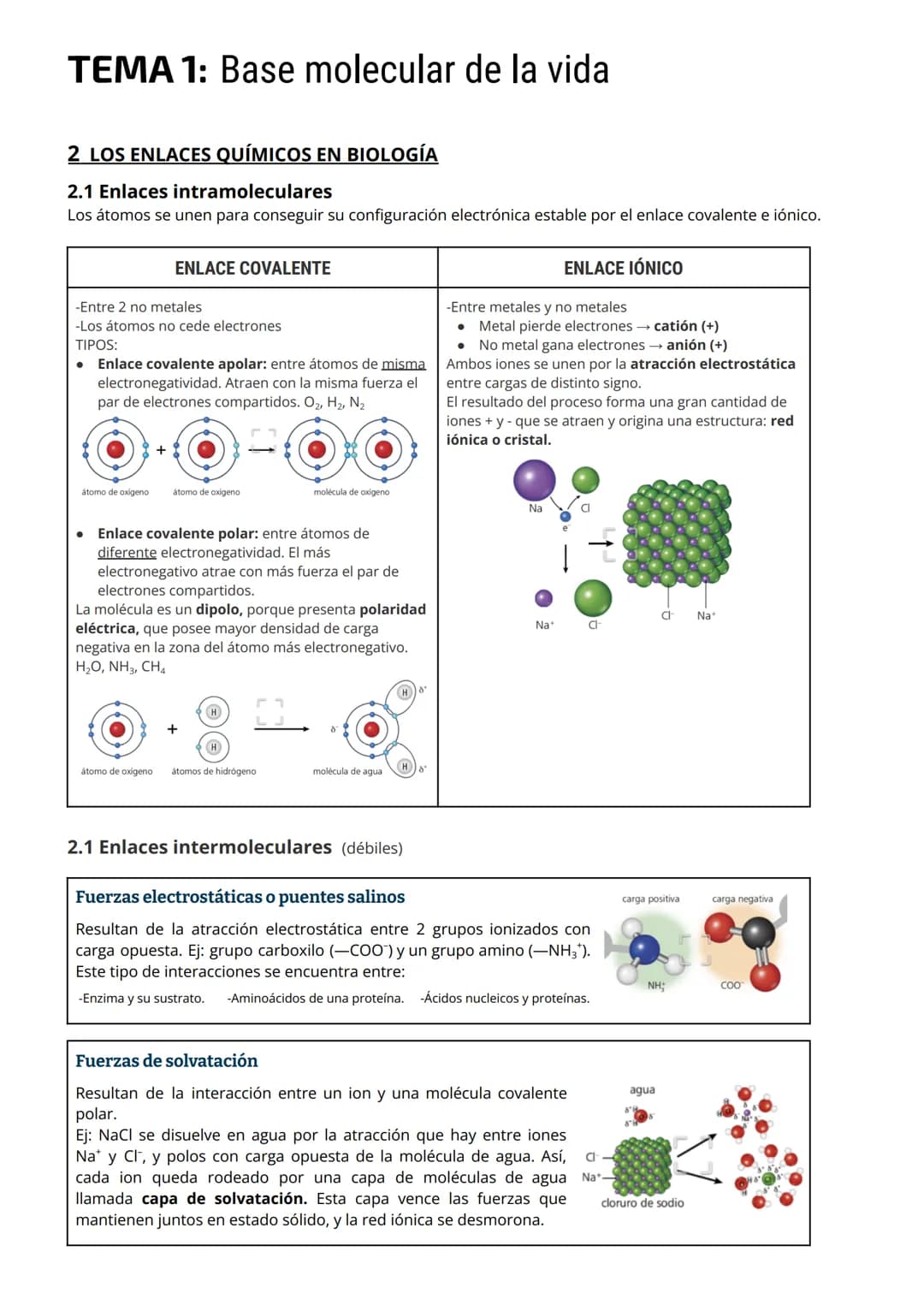 <h2>Los Enlaces Químicos en Biología</h2>
<h3>Enlaces Intramoleculares</h3>
<p>Los átomos se unen para lograr su configuración electrónica