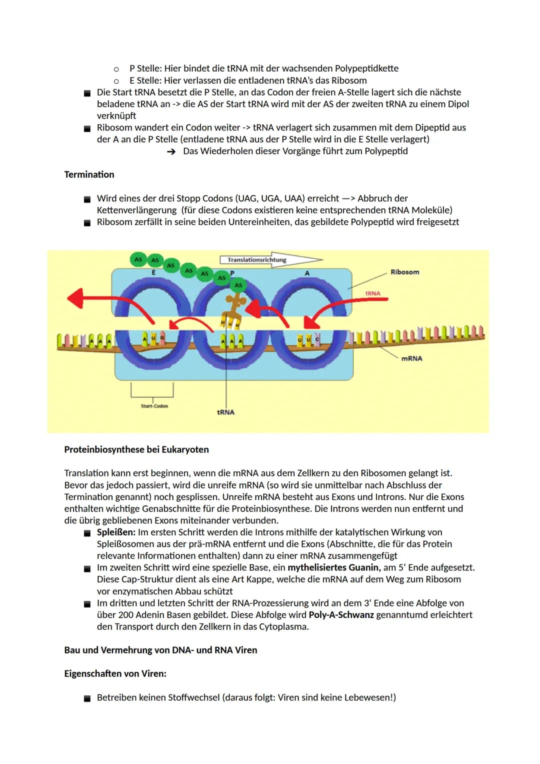 # Aufbau der DNA
Nucleinsäuren
Ein Nukleotid ist ein Grundbaustein von Nukleinsäuren (DNA und RNA). Viele Arten von Nukleotiden
haben lebe