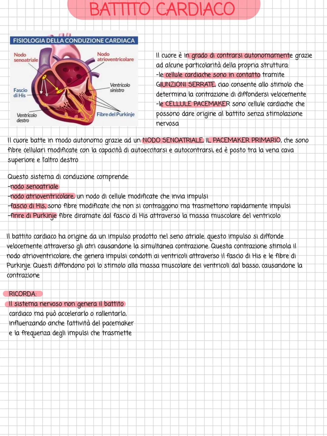 # BATTITO CARDIACO
FISIOLOGIA DELLA CONDUZIONE CARDIACA
Nodo
senoatriale
Fascio
di His
Ventricolo
destro
Nodo
atrioventricolare
Ventri