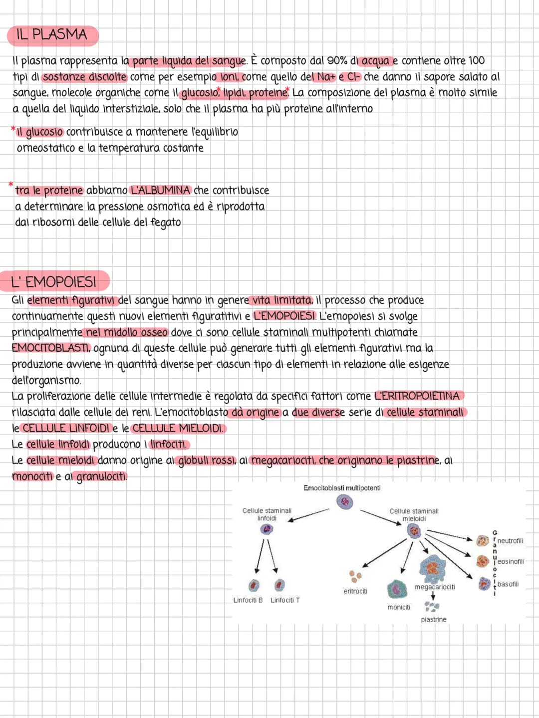 # BATTITO CARDIACO
FISIOLOGIA DELLA CONDUZIONE CARDIACA
Nodo
senoatriale
Fascio
di His
Ventricolo
destro
Nodo
atrioventricolare
Ventri