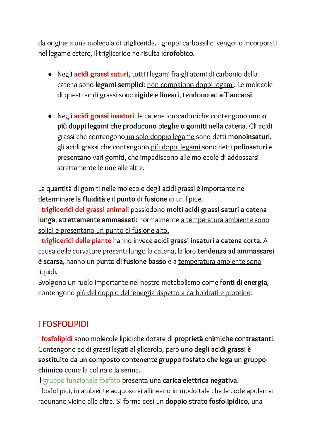 # I Lipidi
I lipidi rappresentano una famiglia eterogenea di biomolecole contenenti quasi
esclusivamente carbonio e idrogeno. Si possono su