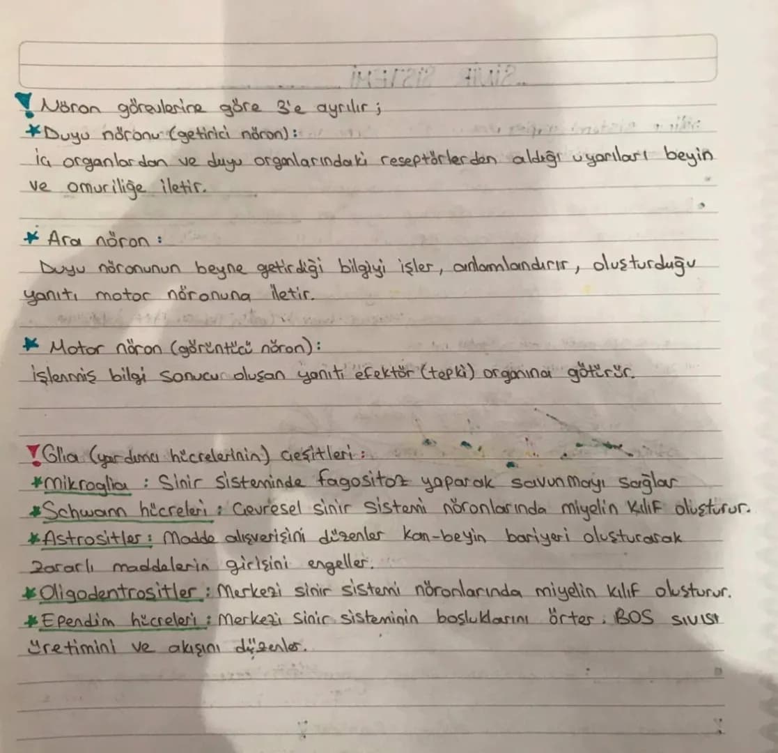 SİNİR SİSTEMİ
:
:Sinir sistemi yapısı.
•Canlının dış cievre ve organizma arasındakı ilişkisini sağlayan sistemdir.
•Sinir sistemini oluştura