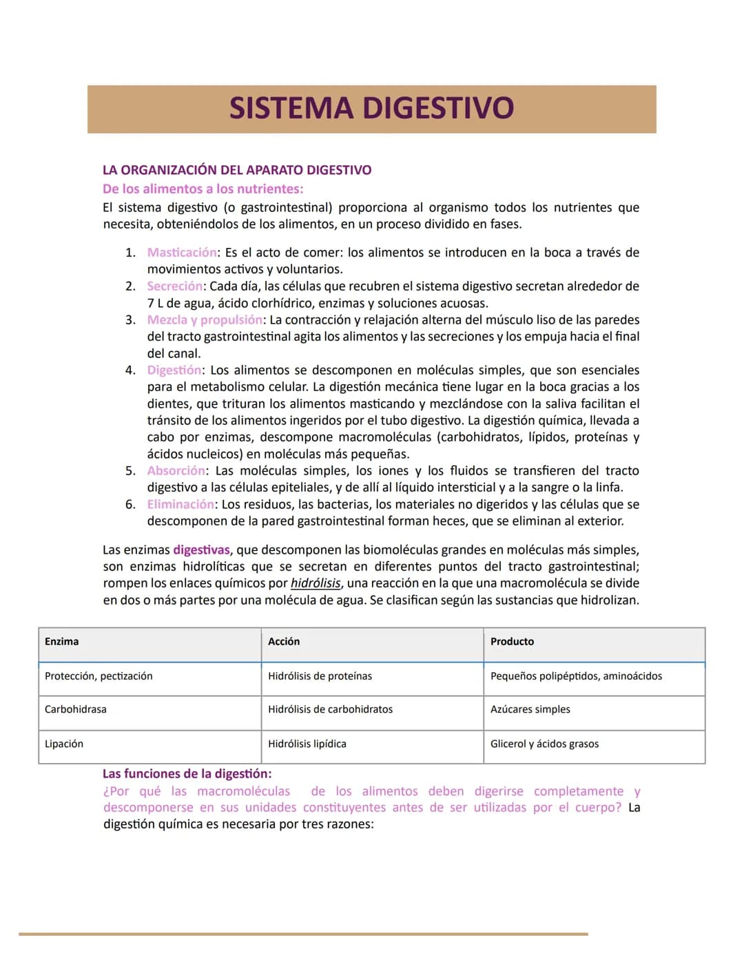 # SISTEMA DIGESTIVO
LA ORGANIZACIÓN DEL APARATO DIGESTIVO
De los alimentos a los nutrientes:
El sistema digestivo (o gastrointestinal) prop