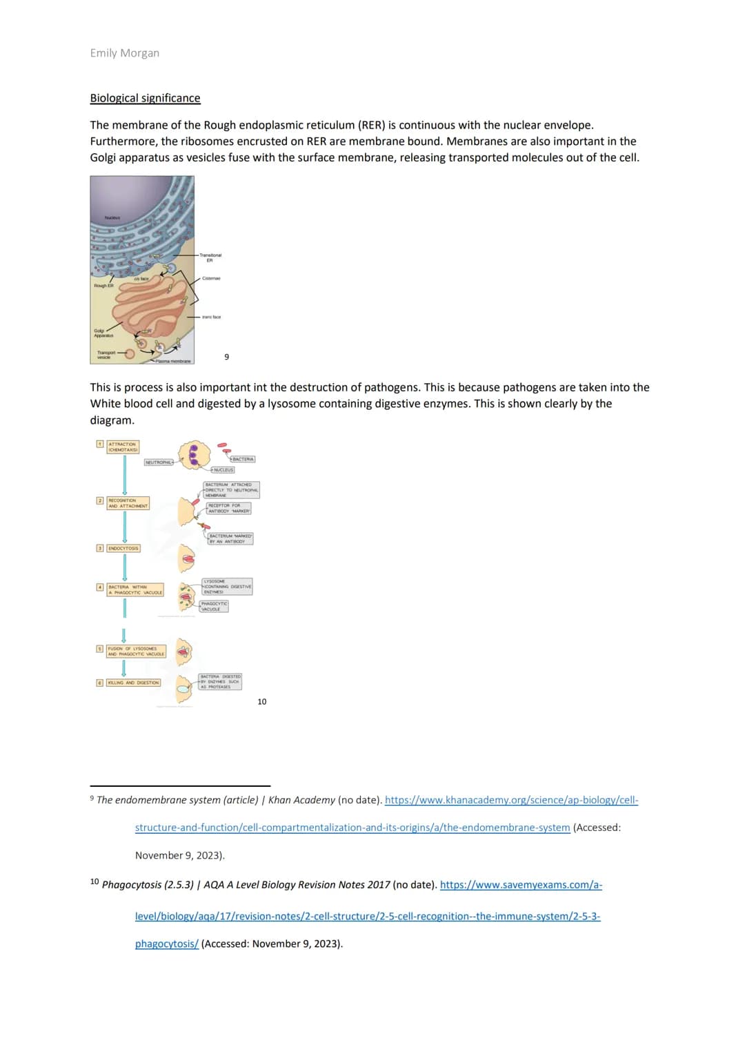 Emily Morgan
The significance of Biological membranes
Introduction
Biological membranes are present in every cell. This makes them signif