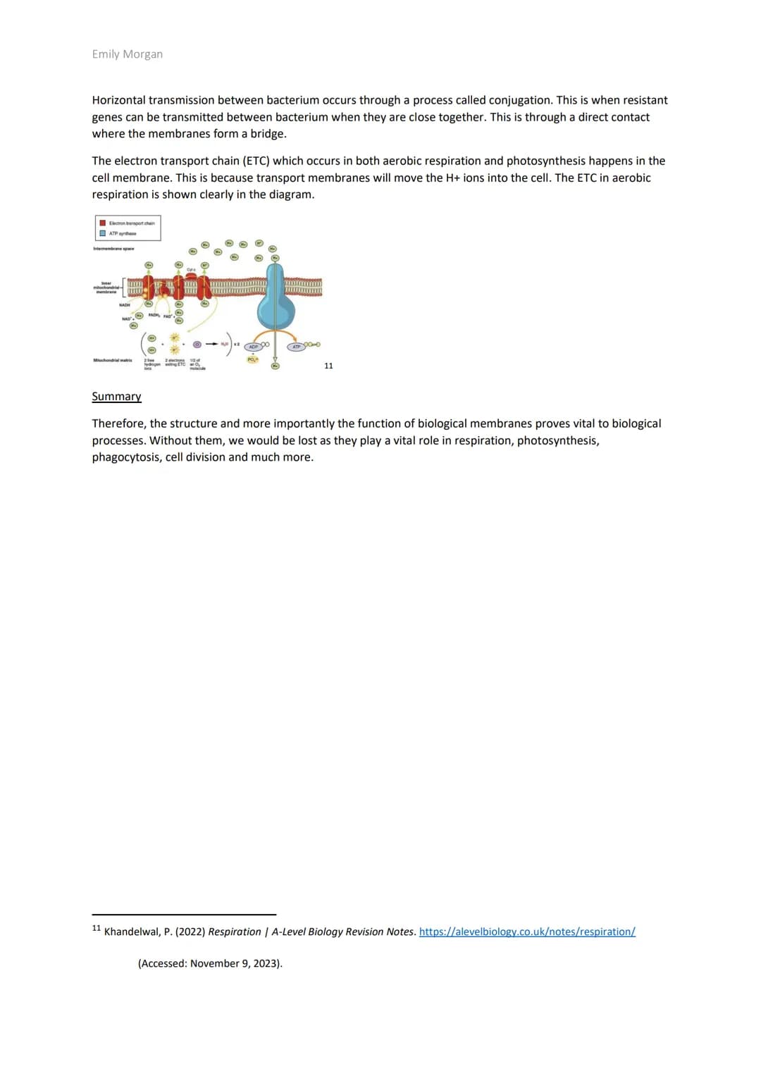 Emily Morgan
The significance of Biological membranes
Introduction
Biological membranes are present in every cell. This makes them signif