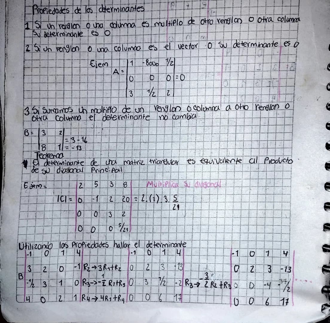 # Propiedades de los determinantes
1 Si un renglon o una columna es multiplo de otro renglon o otra columna
Su determinante es O
2 Si un r