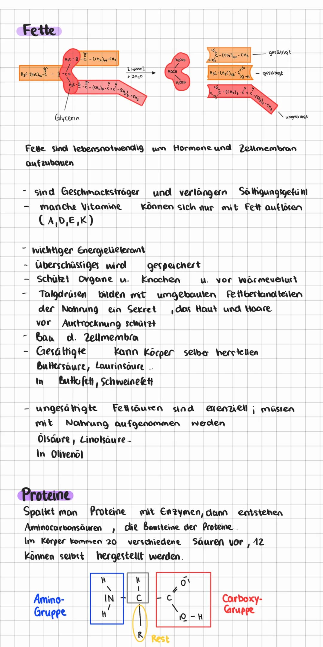 # Makronährstoffgruppen
## Kohlenhydrate:
Kohlenhydrate bestehen aus meist ringförmigen Molekülen,
mit funktionellen Gruppen.
Allgemeine F