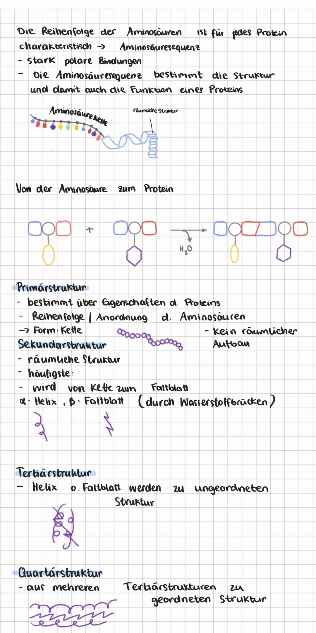 # Makronährstoffgruppen
## Kohlenhydrate:
Kohlenhydrate bestehen aus meist ringförmigen Molekülen,
mit funktionellen Gruppen.
Allgemeine F