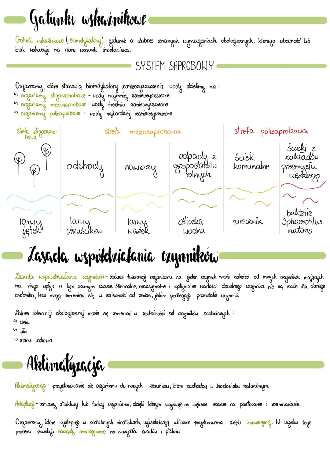 <p>Ekologia jest nauką o strukturze i funkcjonowaniu przyrody. Ekolodzy badają różne poziomy organizacji biologicznej, takie jak osobnik, p