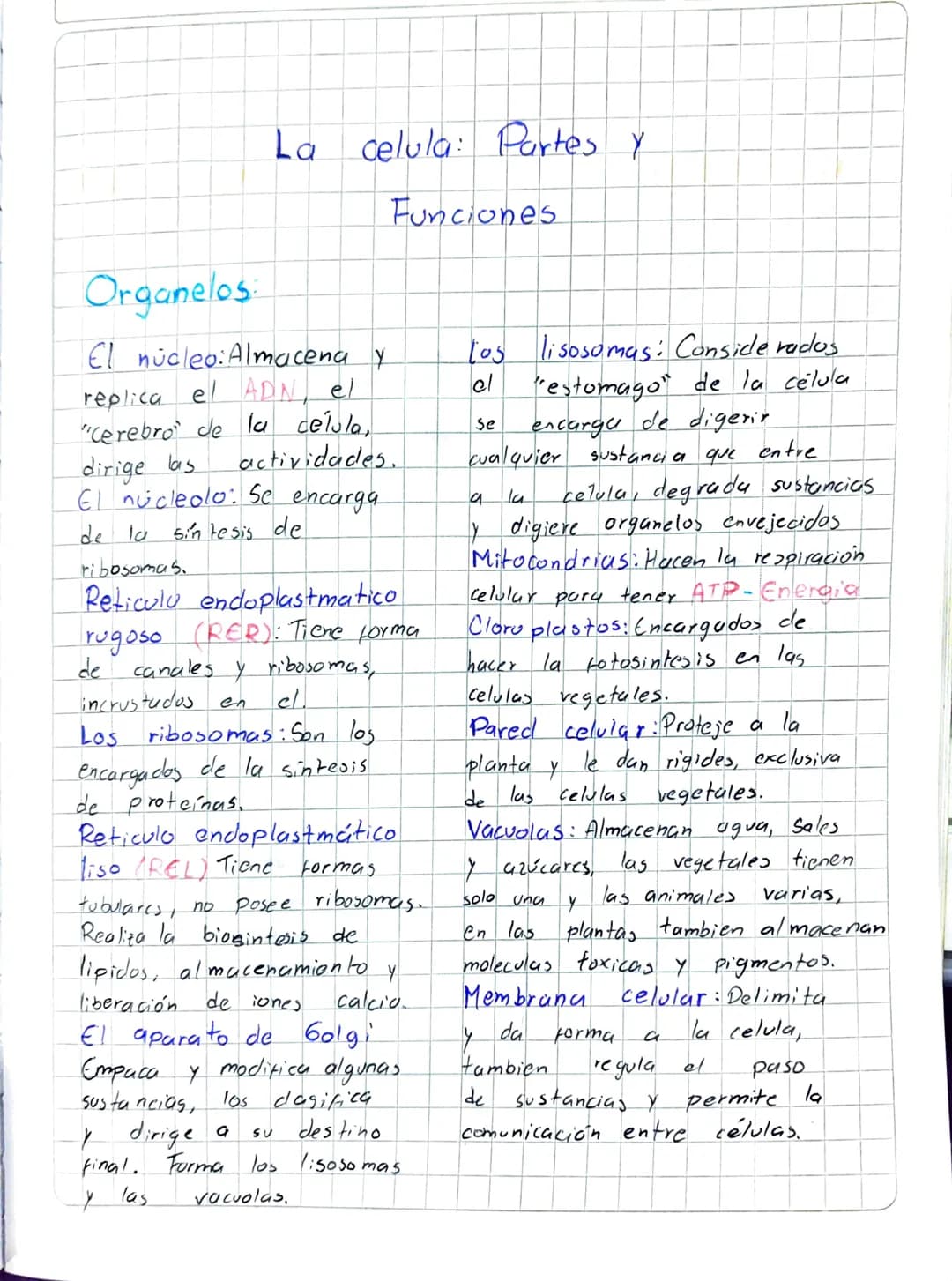 Organelos
La celula: Partes y
Funciones
El núcleo: Almacena y
replica el ADN, el
"Cerebro de la célula,
dirige las actividades.
El núcleol