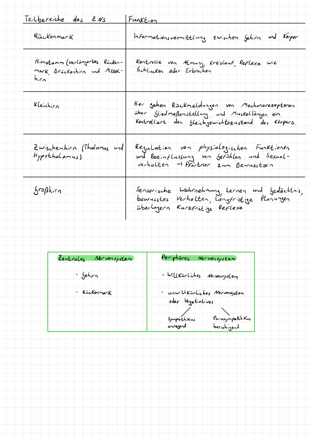 Aufnahme, Weitergabe und Verarbeitung von Informationen
→Kommunikation im Immunsystem
→Hormonsystem
→Informationsaufnahme und -verarbeitu