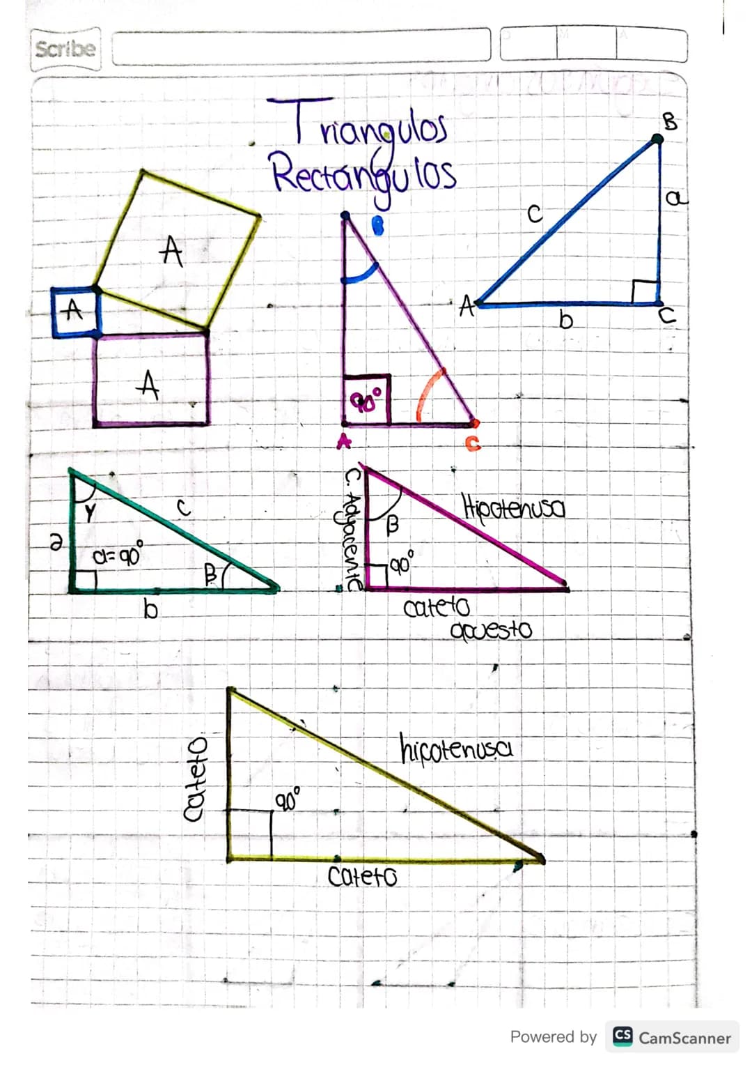 Scribe
# Triangulos
## Oblicuángulos
A
C
C
# Clasificación de
## los Triángulos
segun la longitud de sus lados.
e
EQUILATERO
3 lado