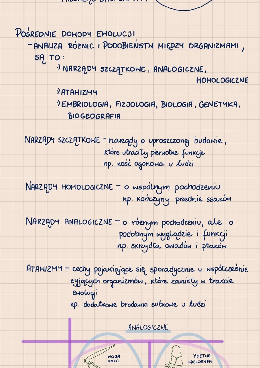 # EWOLUCJA
EKOLUCJA BIOLOGICZNA - PROCES STOPNIONYCH I
NIEODWRACALNYCH
PRZEKSZTAŁCEŃ ORGANIZMÓH
BEZPOŚREDNIE DOWODY EHOLUCJI
- SKAMIENIAŁO