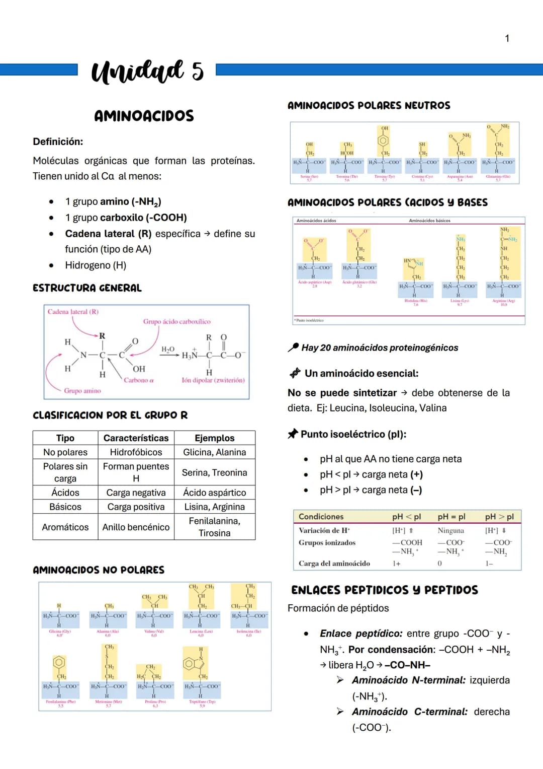 Unidad 5
AMINOACIDOS
AMINOACIDOS POLARES NEUTROS
1
Definición:
Moléculas orgánicas que forman las proteínas.
Tienen unido al Ca al menos:
*