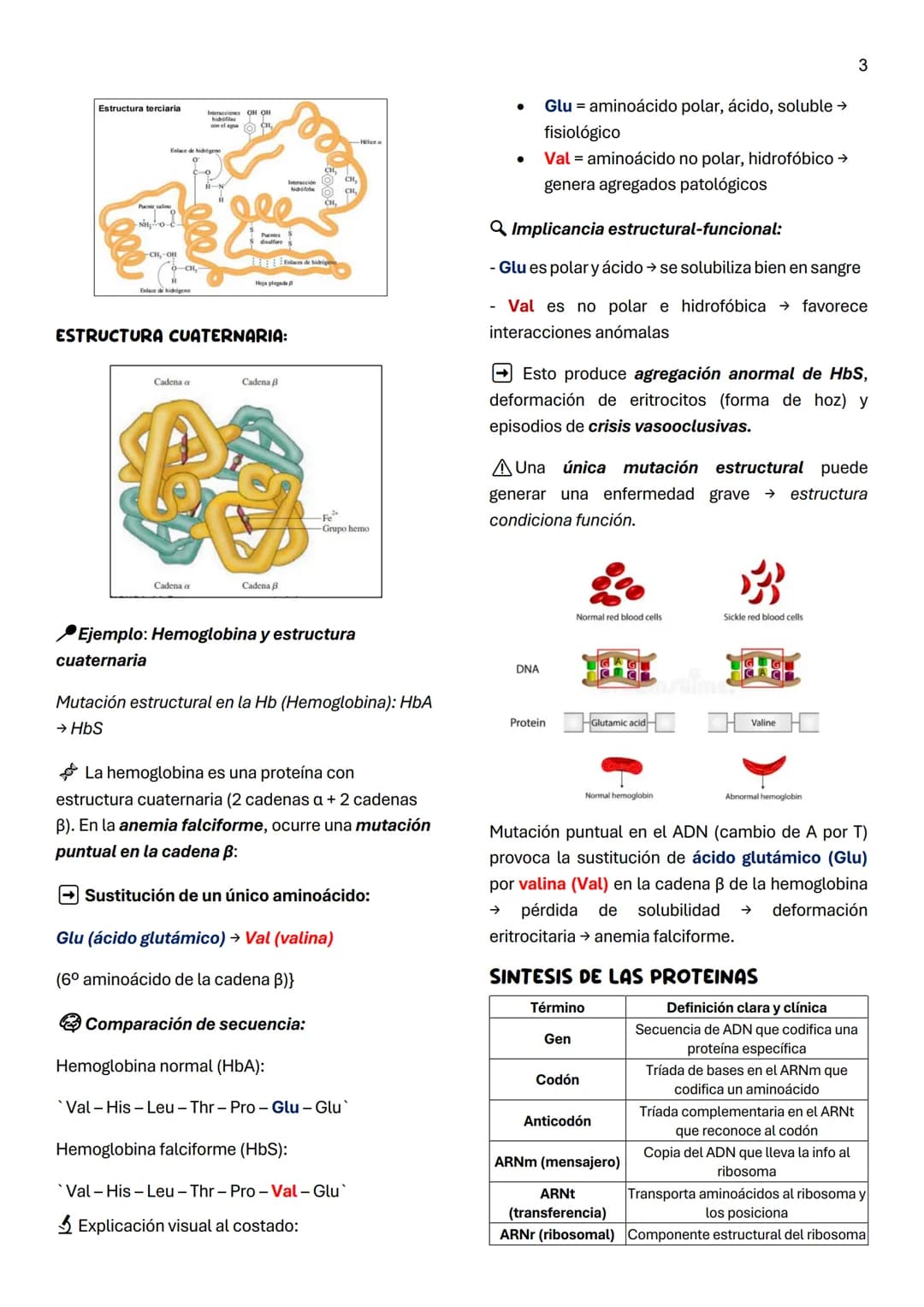Unidad 5
AMINOACIDOS
AMINOACIDOS POLARES NEUTROS
1
Definición:
Moléculas orgánicas que forman las proteínas.
Tienen unido al Ca al menos:
*