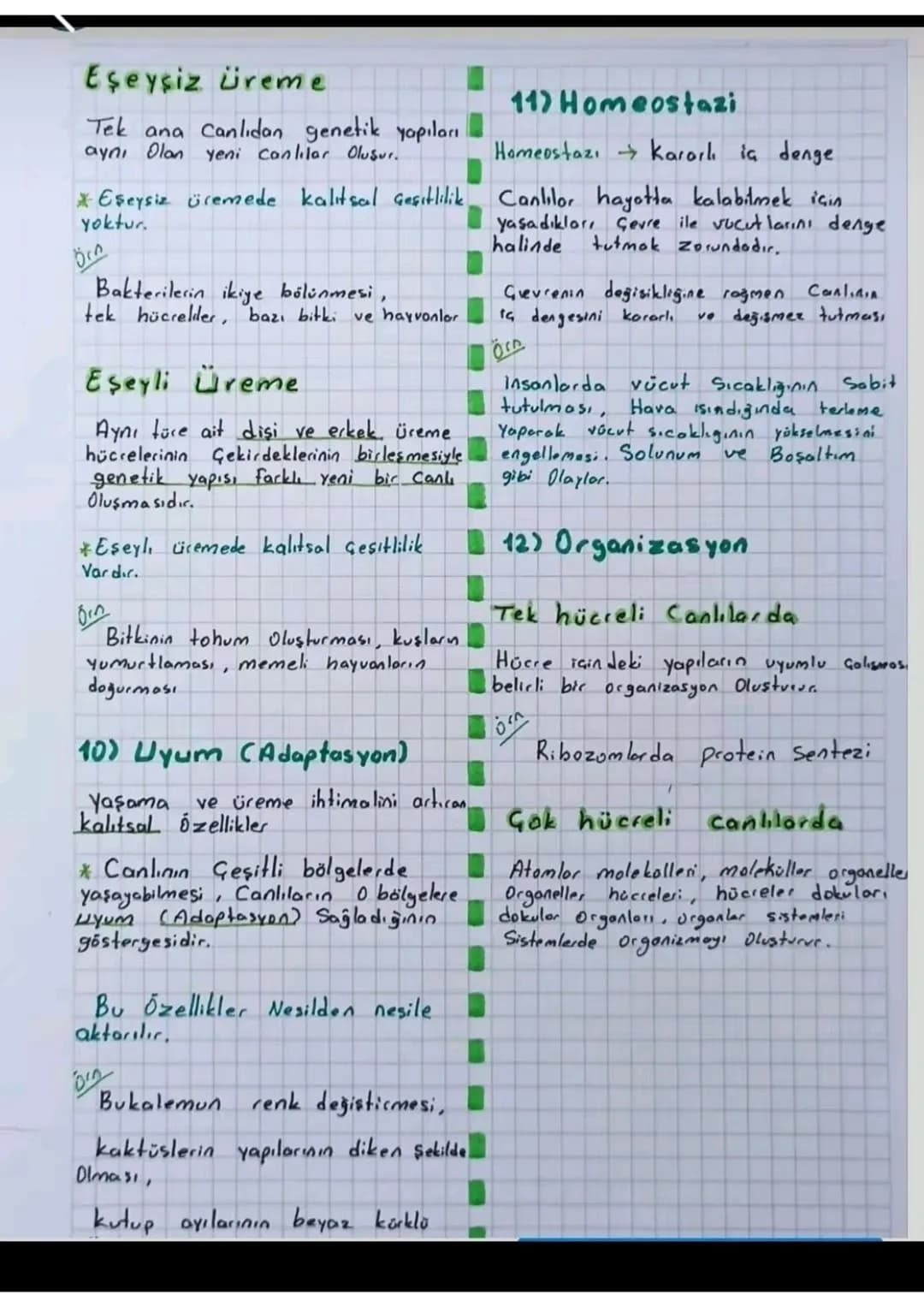 # CHALILHKIN
ORTAK OZELİKLERİ
1) Hücresel Yapı
Tüm Canlıların yapısal ve işlevsel
en küçük Yapı birimi Hücre 'dir.
Prokaryot:
Gekirdeği