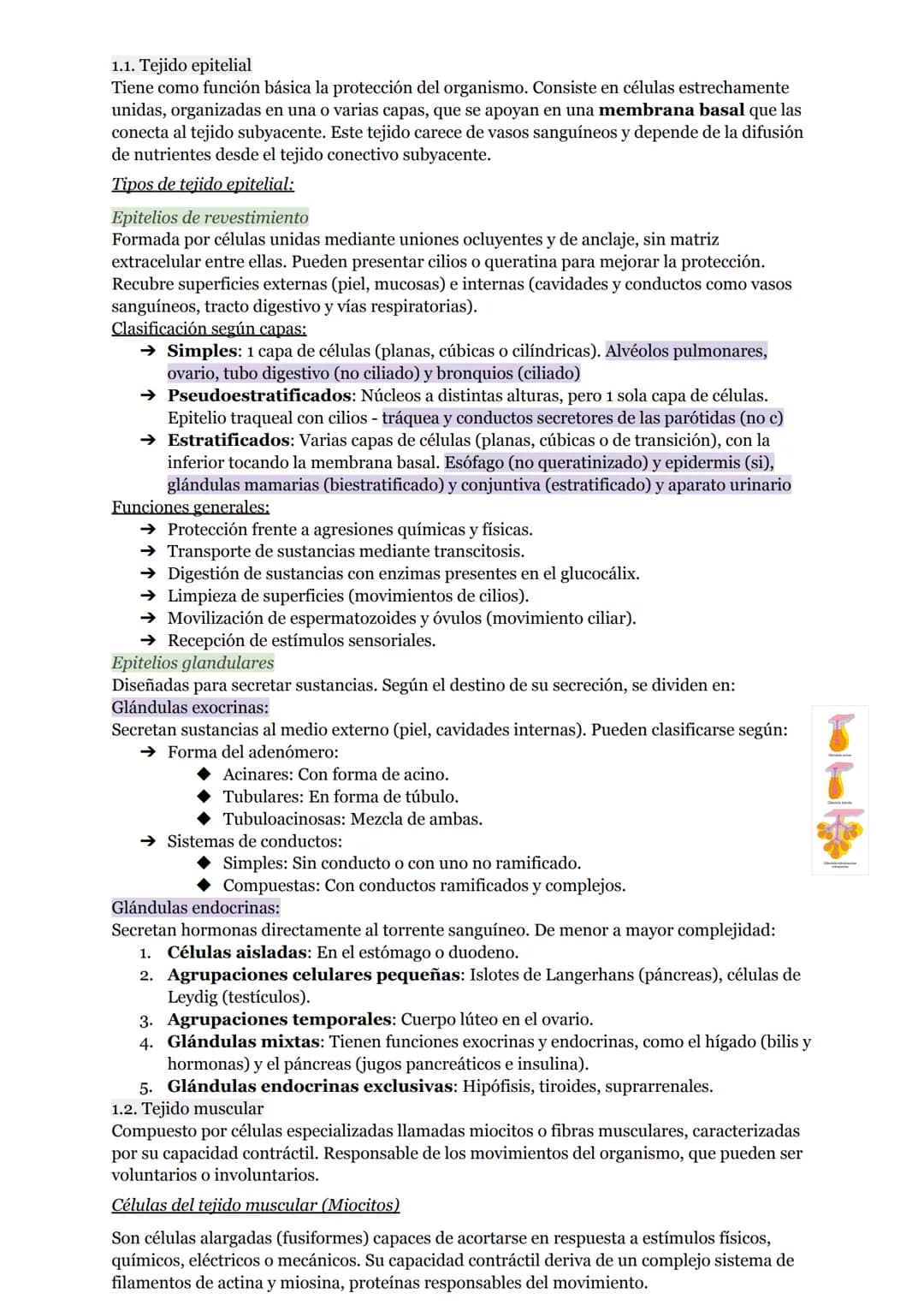 # O.I RESUMEN TEMAS I AL 5
# LA ORGANIZACIÓN DEL CUERPO HUMANO
1. Organización del cuerpo humano
1.1. Niveles atómico, molecular, celular