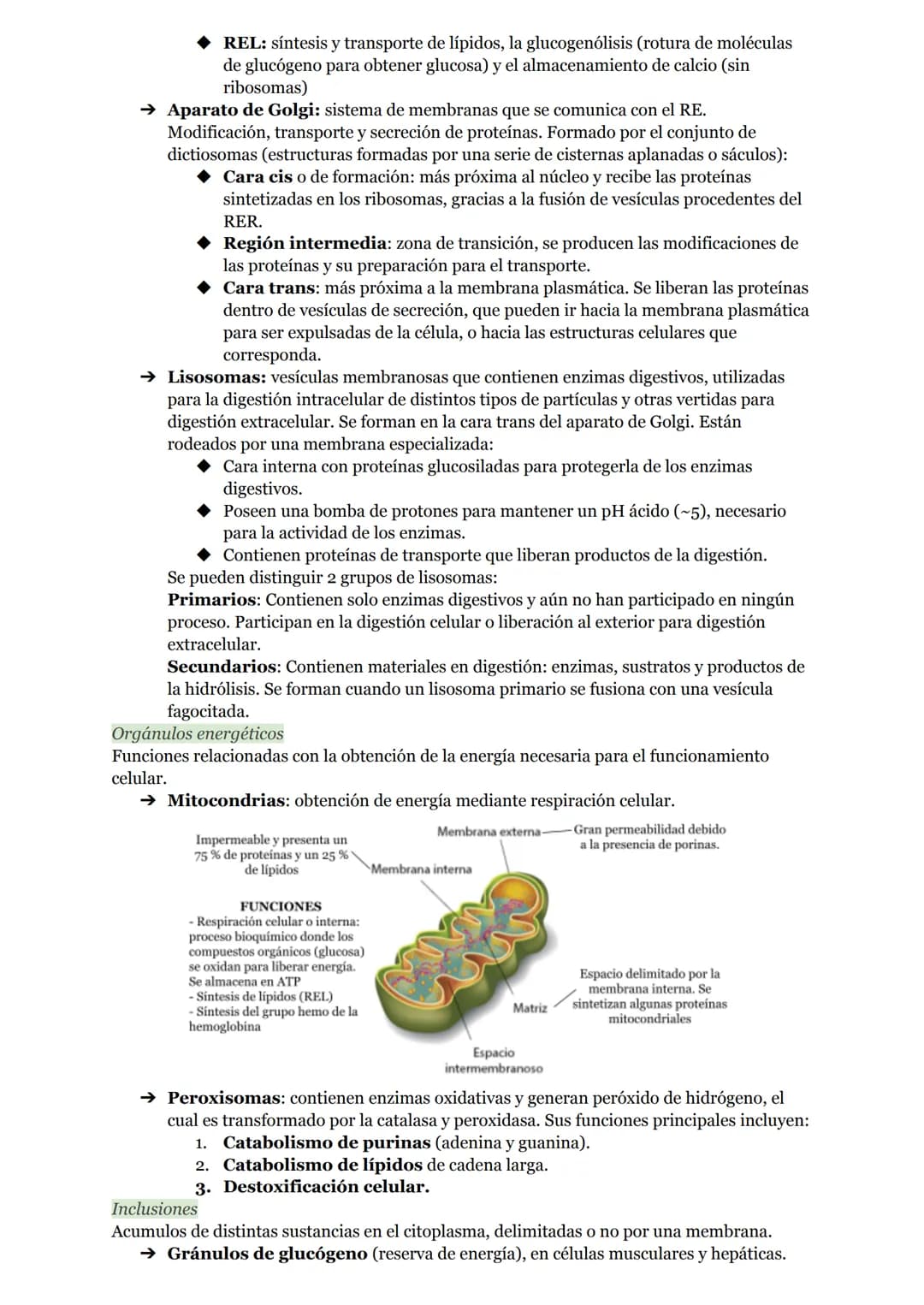 # O.I RESUMEN TEMAS I AL 5
# LA ORGANIZACIÓN DEL CUERPO HUMANO
1. Organización del cuerpo humano
1.1. Niveles atómico, molecular, celular