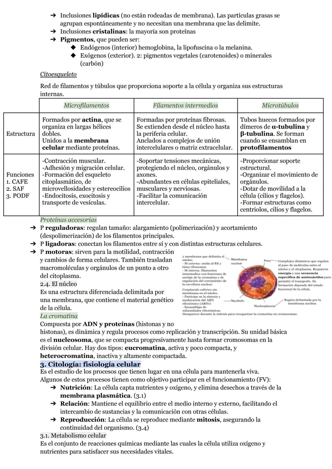 # O.I RESUMEN TEMAS I AL 5
# LA ORGANIZACIÓN DEL CUERPO HUMANO
1. Organización del cuerpo humano
1.1. Niveles atómico, molecular, celular