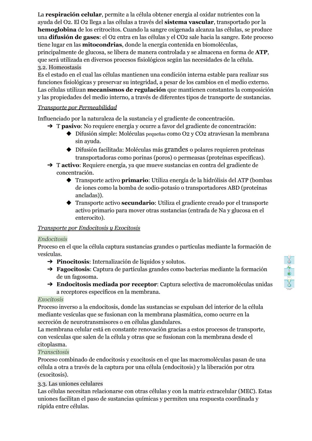 # O.I RESUMEN TEMAS I AL 5
# LA ORGANIZACIÓN DEL CUERPO HUMANO
1. Organización del cuerpo humano
1.1. Niveles atómico, molecular, celular