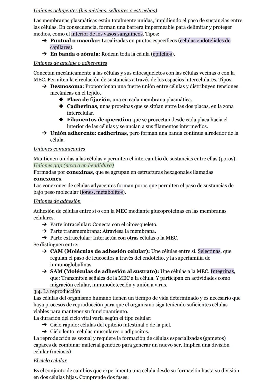 # O.I RESUMEN TEMAS I AL 5
# LA ORGANIZACIÓN DEL CUERPO HUMANO
1. Organización del cuerpo humano
1.1. Niveles atómico, molecular, celular