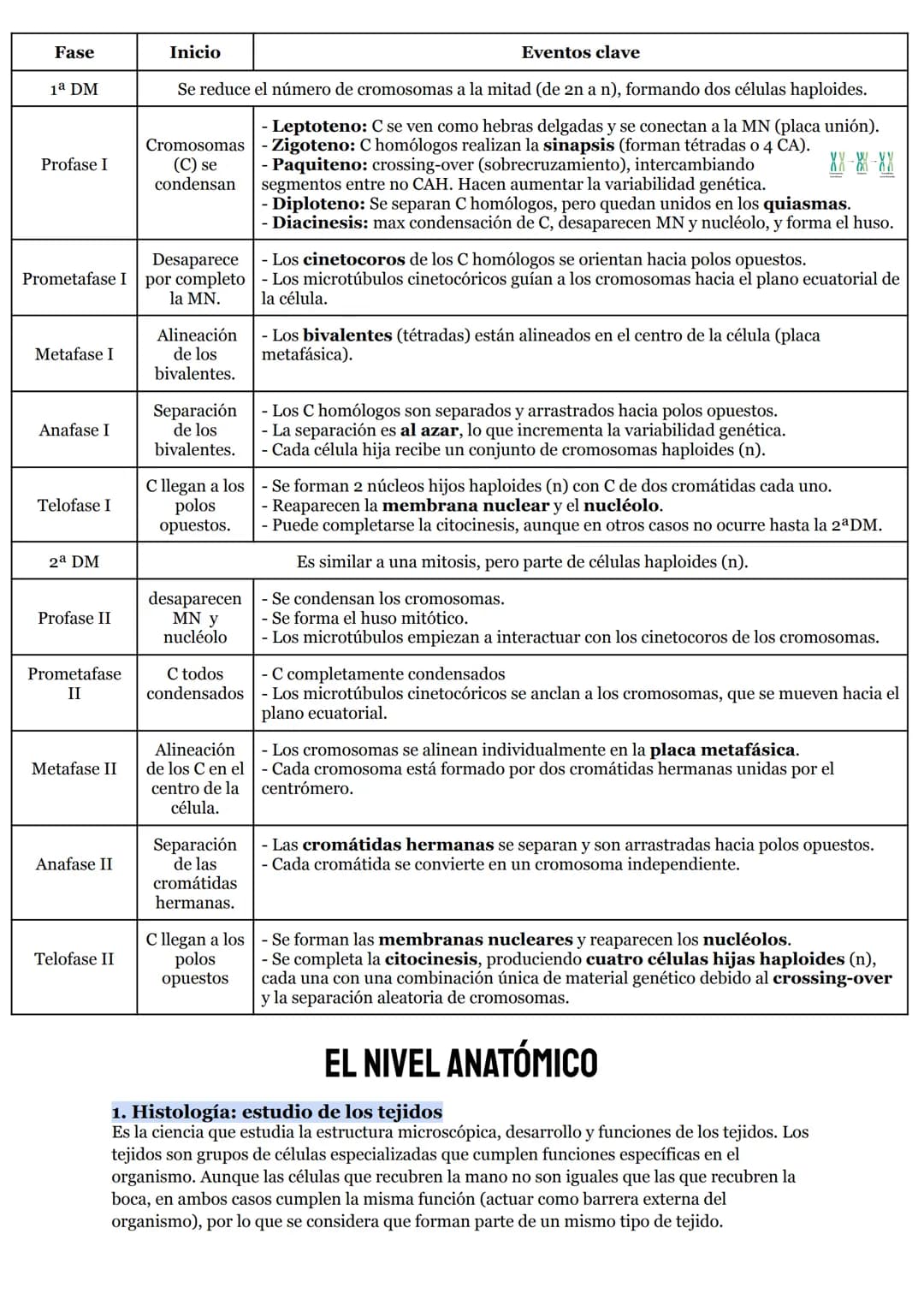 # O.I RESUMEN TEMAS I AL 5
# LA ORGANIZACIÓN DEL CUERPO HUMANO
1. Organización del cuerpo humano
1.1. Niveles atómico, molecular, celular