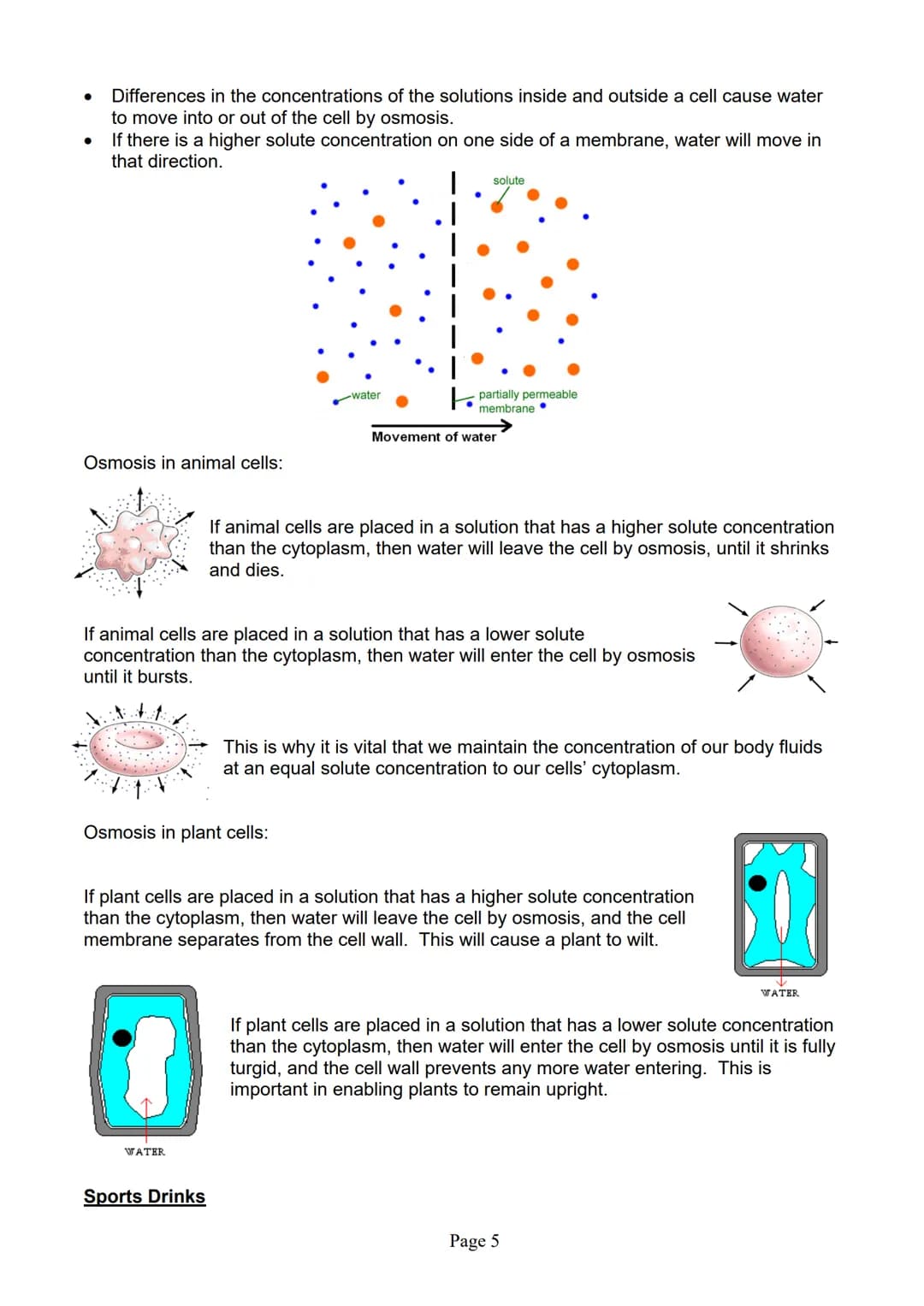 AQA
GCSE Biology
Paper 1
Summary Notes
Page 1 Topic 1 Cells and Cell Structures
Summary
All living things are made up of cells. The struc