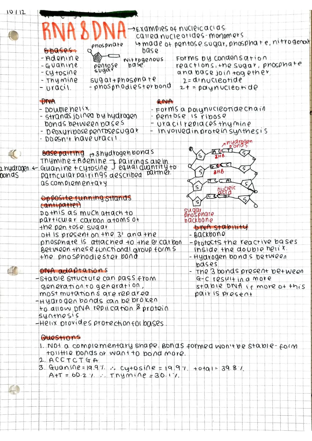 10/12
# RNA&DNA
sbases:
-Adenine
-Guanine
- cytosine
- Thymine
- uracil.
DIVA
- Double helix.
phosphate
Examples of nucleic acids.
calle