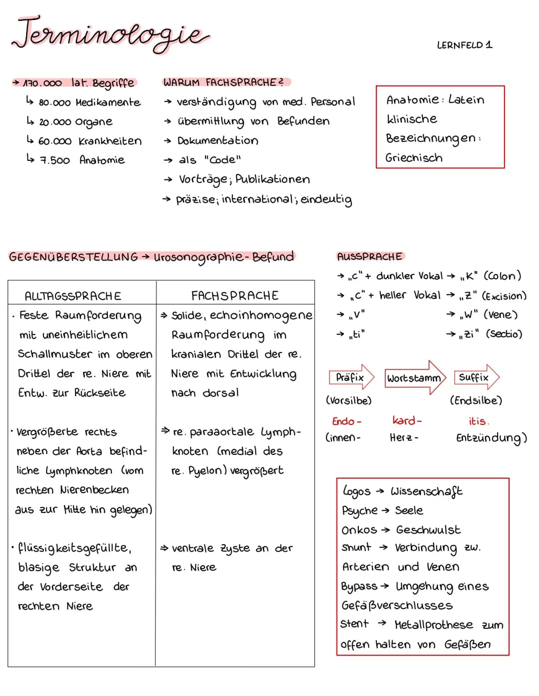 # Jerminologie
→ 170.000 lat. Begriffe
↳ 80.000 Medikamente
L↳ 20.000 organe
60.000 Krankheiten
7.500 Anatomie
WARUM FACHSPRACHE?
→ v