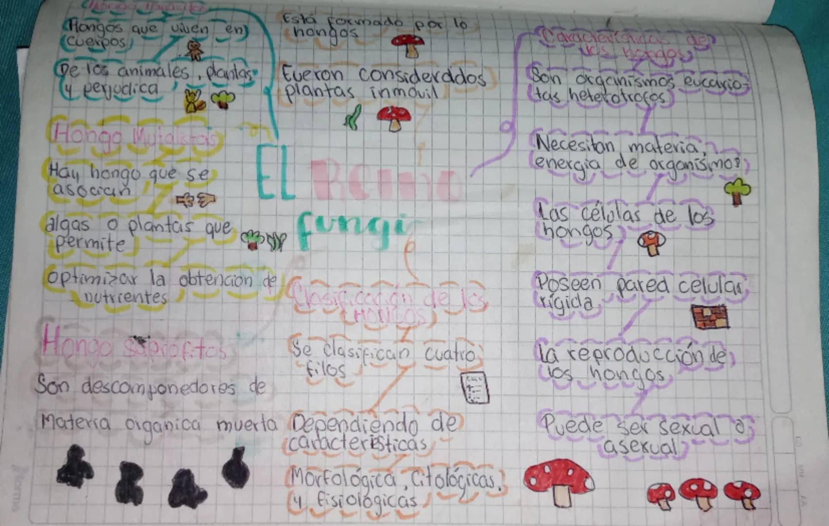 Hongos que viven en
Cuerpos
De los animales, plantas
4 perjudica
Está formado por lo
hongos
Fueron considerados
plantas inmovil
Caracter