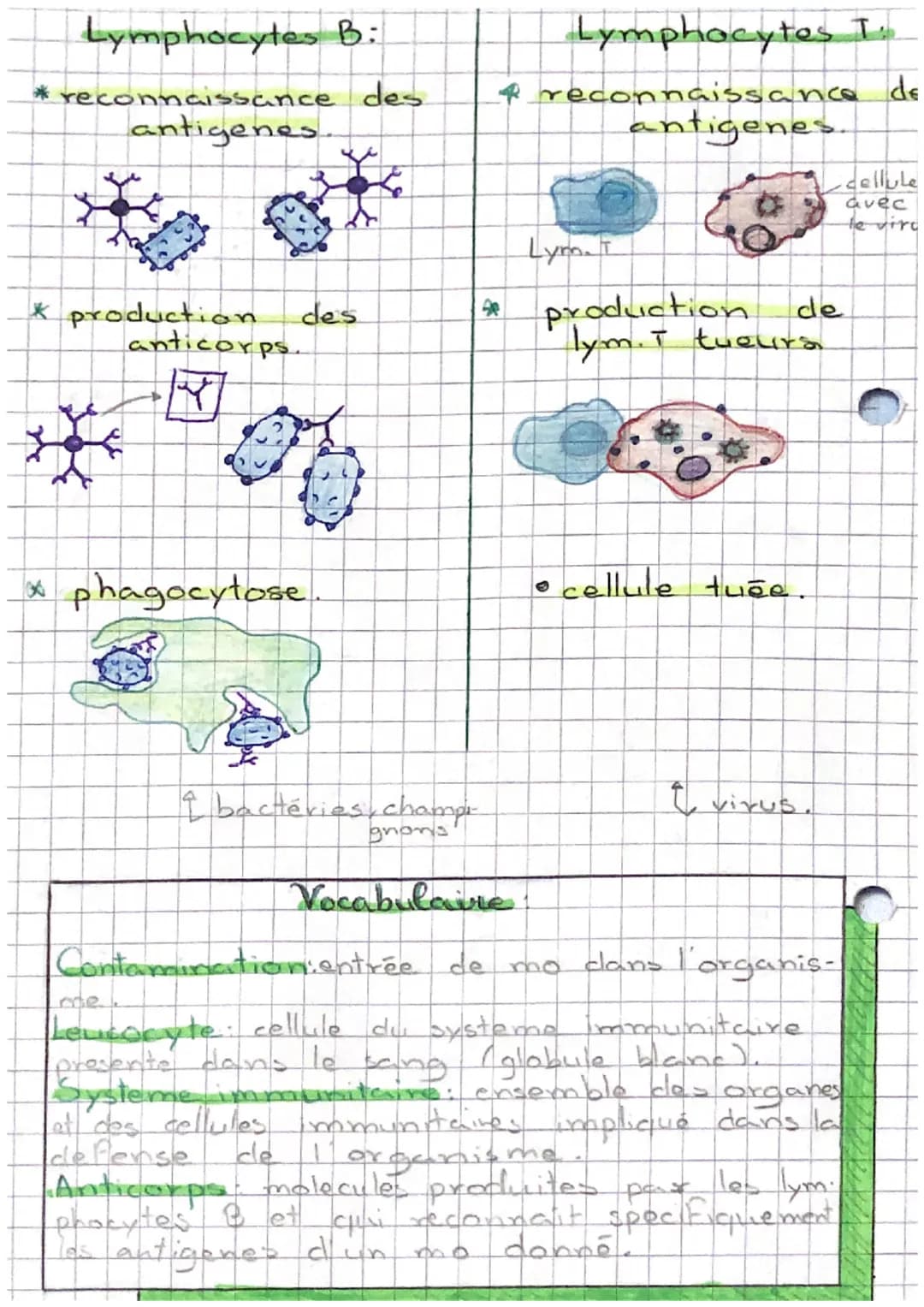 # de monde
microbien.
• Suite à l'entrée de micro-organismes,
en franchissant les barrieres naturelles du
corps, il reagit (reaction immuni